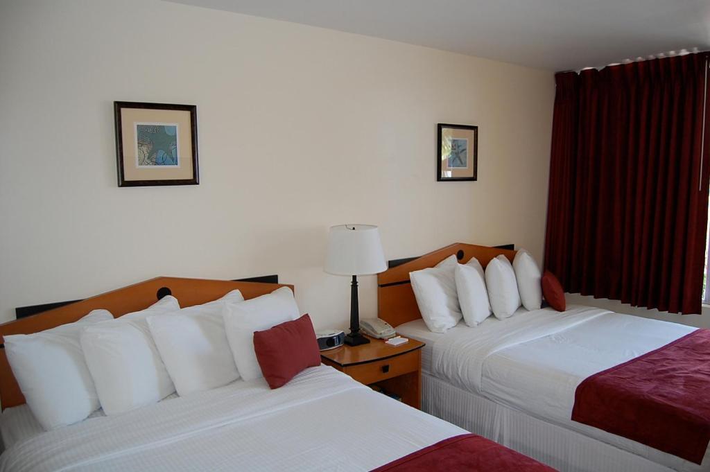 Hotel Alcazar Resort- Gay Mens