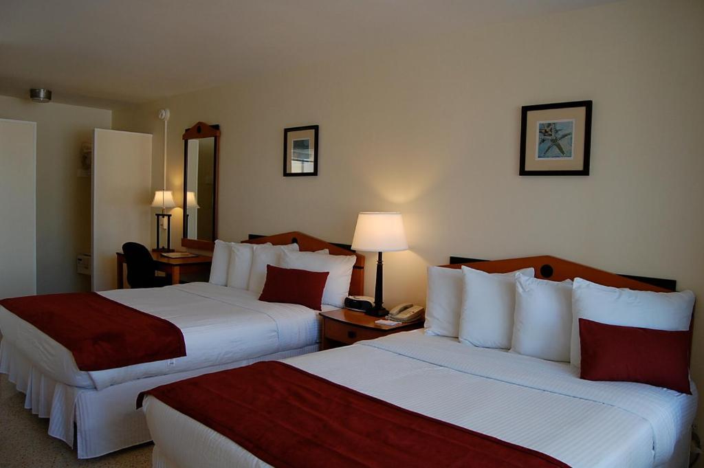 Hotel Alcazar Resort- Gay Mens Fort Lauderdale