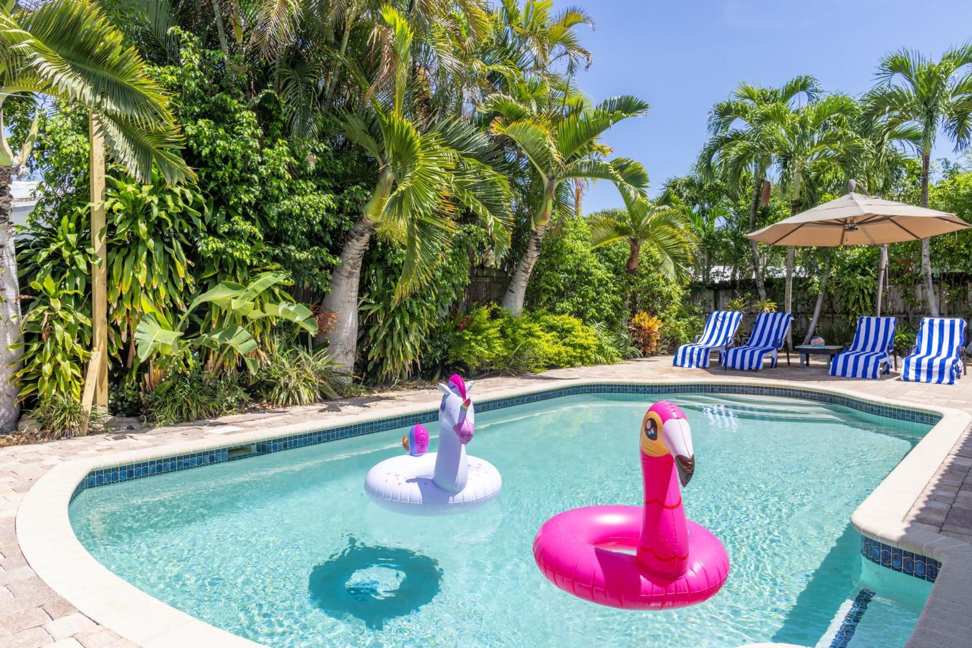 Tropical Oasis Heated Saltwater Pool 6min To The