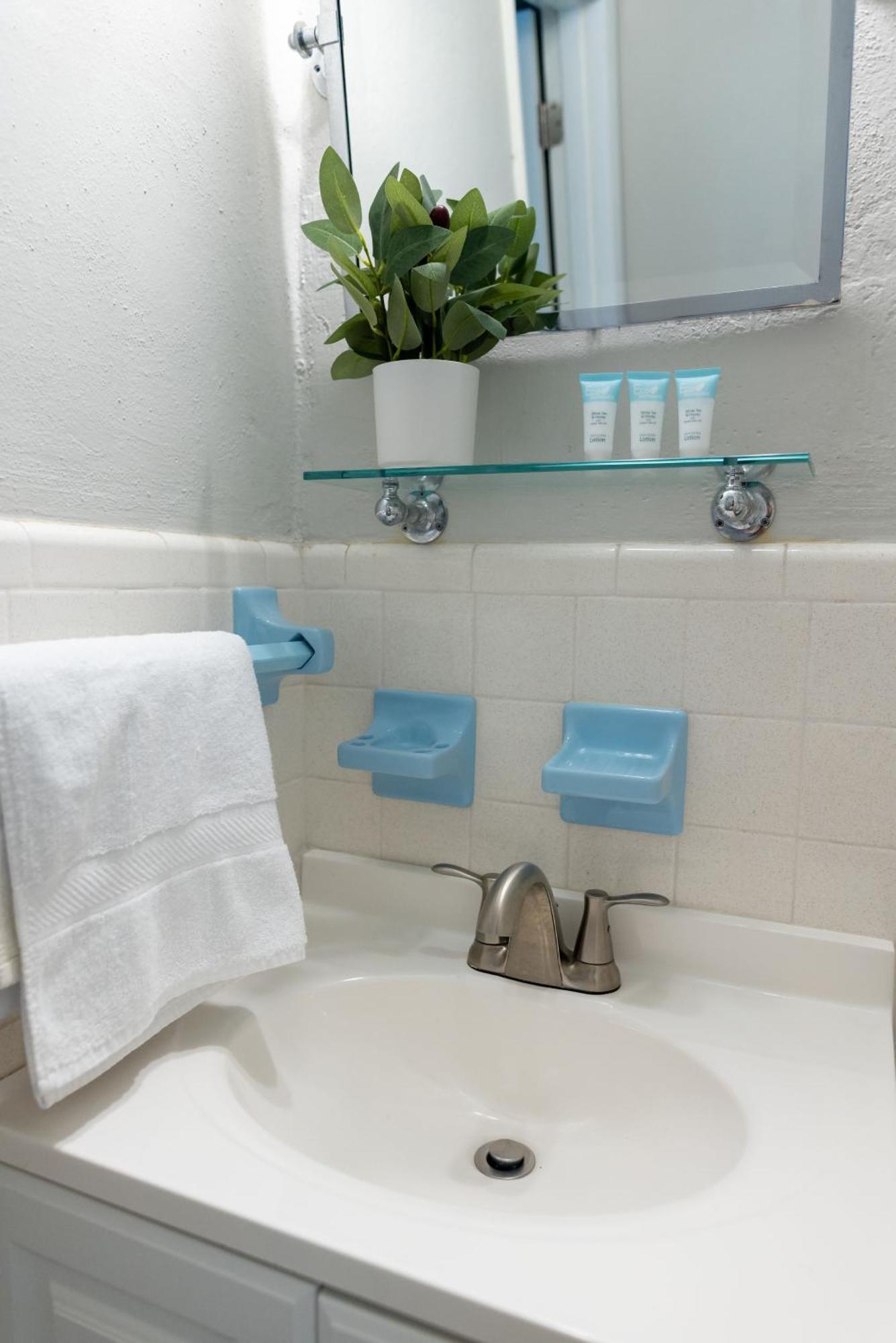 Tropical Oasis Heated Saltwater Pool 6min To The Fort Lauderdale