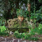 Studio In Paradise