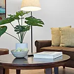 Awesome 1Br Apartment @Sailboat