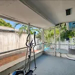 Radiant Palms