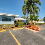 Radiant Palms