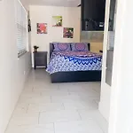 The Zen Vibe Suite