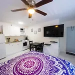 The Zen Vibe Suite