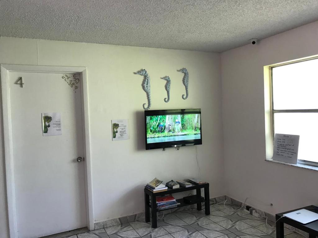 Crocodhouse Early Check In Free Parking 7 Years Hosting In Laud *