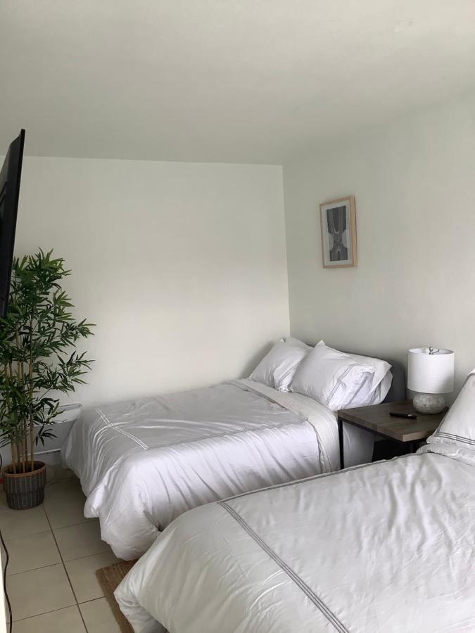 Hotel Lauderdale