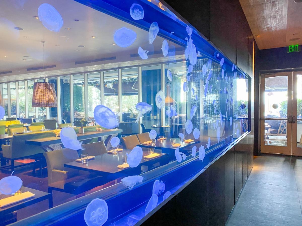 W Residences Luxury Across From Beach Aparthotel *
