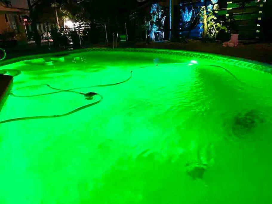 Jungle To 4 R 3 Bedroom Family And Pet Heated Pool N Airport N N Hard Rock
