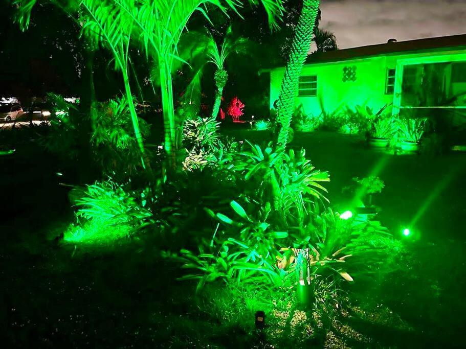 Jungle To 4 R 3 Bedroom Family And Pet Heated Pool N Airport N N Hard Rock *