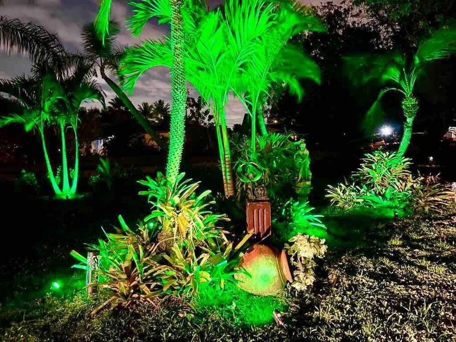 Jungle To 4 R 3 Bedroom Family And Pet Heated Pool N Airport N N Hard Rock Fort Lauderdale