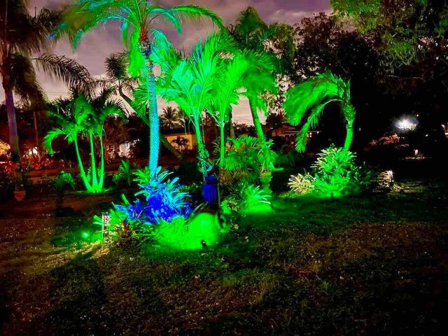 Villa Jungle To 4 R 3 Bedroom Family And Pet Heated Pool N Airport N N Hard Rock *