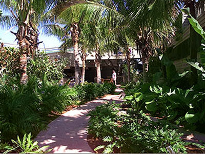 Bahia 3* Fort Lauderdale