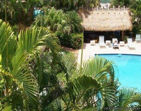 Elita Hotel 3*