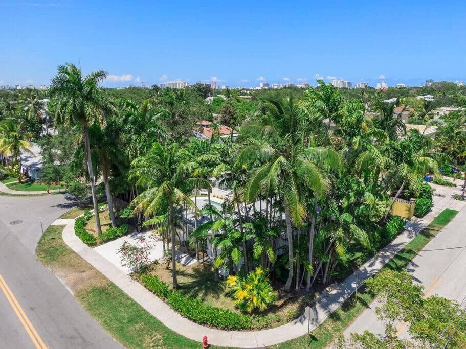 Walk To Las Olas Banyan Palm Paradise