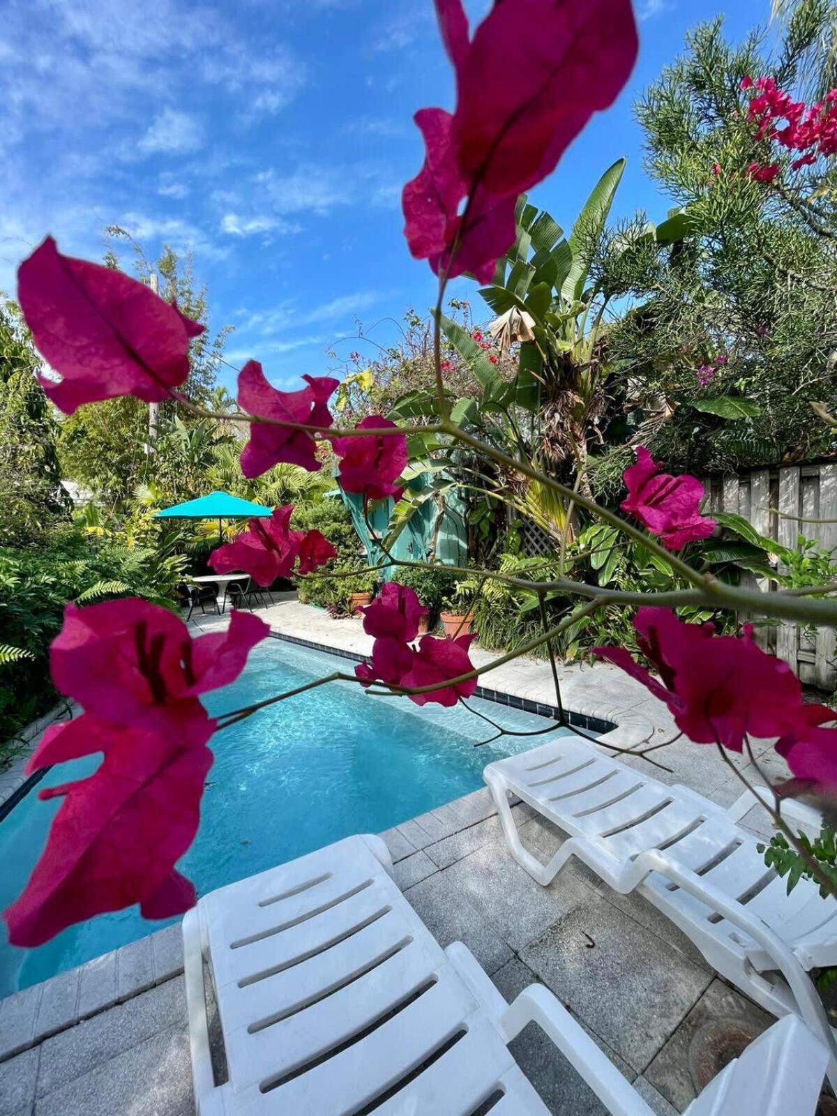 Welcoming Airbnb Walkig Distance To Olas Blvd Fort Lauderdale