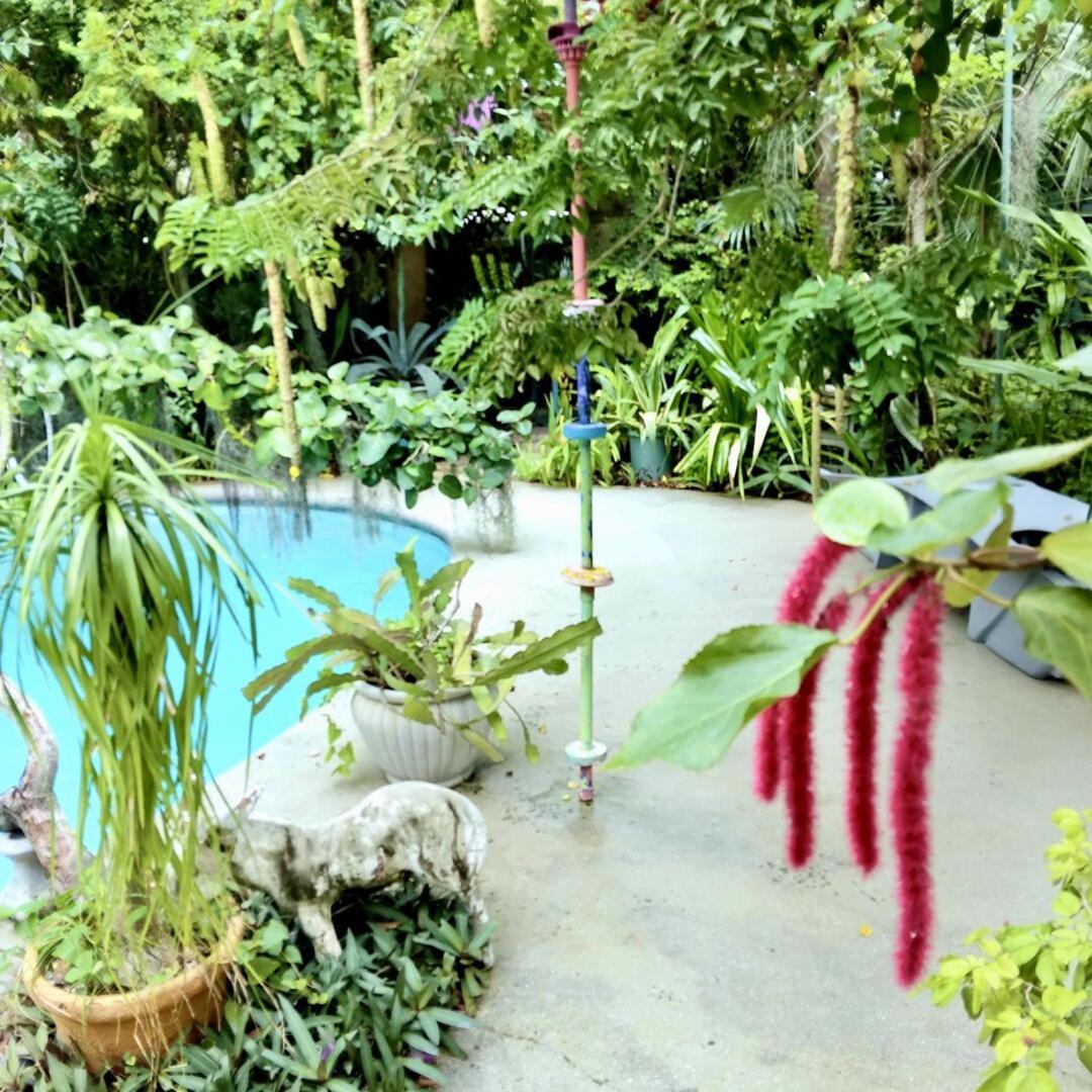 Unique Art & Nature Hideaway Walk To Wilton Drive Fort Lauderdale