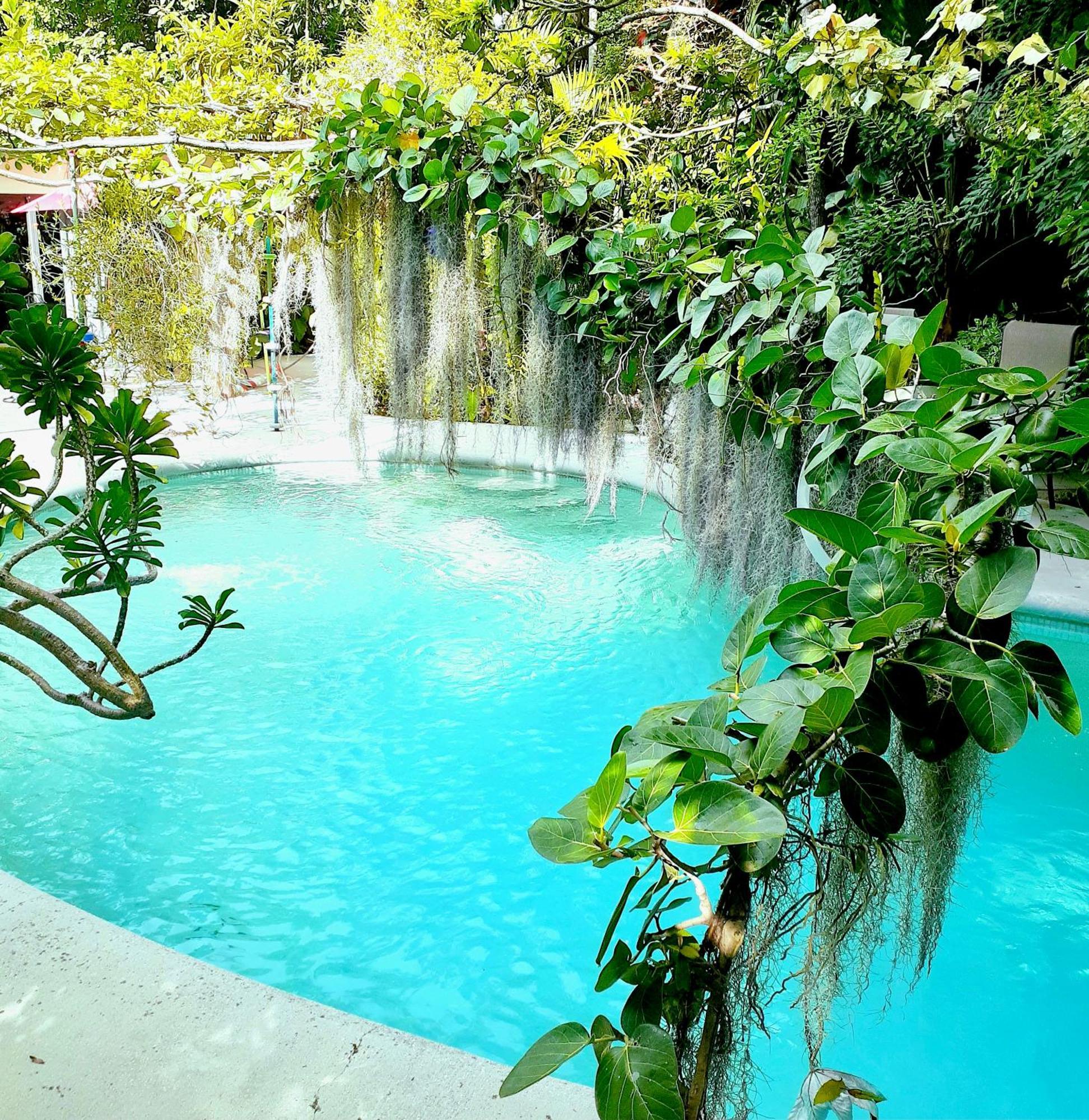 Holiday home Unique Art & Nature Hideaway Walk To Wilton Drive Fort Lauderdale