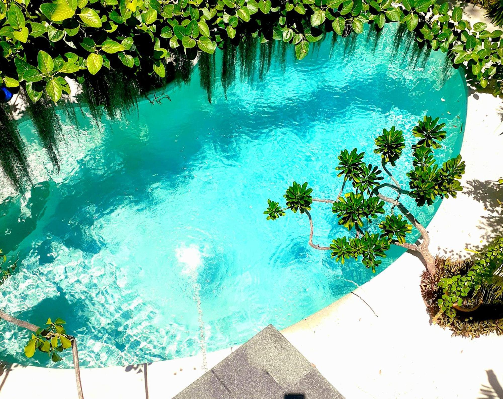 Holiday home Unique Art & Nature Hideaway Walk To Wilton Drive Fort Lauderdale
