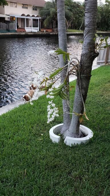 Apartment Heated Pool, Yard, Laundry, Kayaks, Bbq, Kitchen *