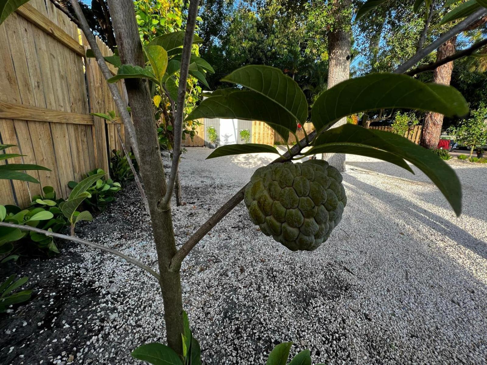Zin Cozy - 5 Min To Apartment Fort Lauderdale