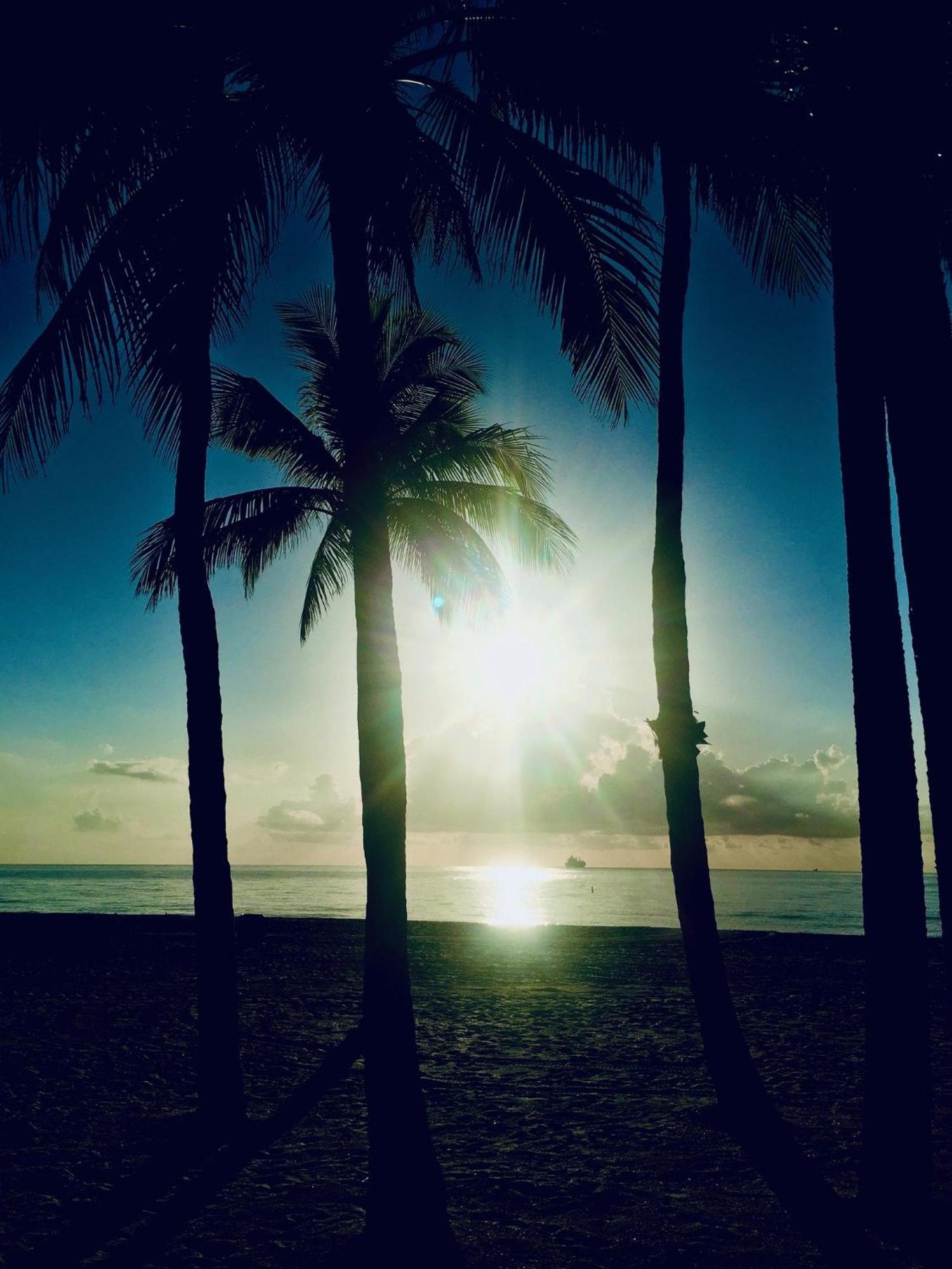 Little Paris By The Ocean Self Check In * Fort Lauderdale