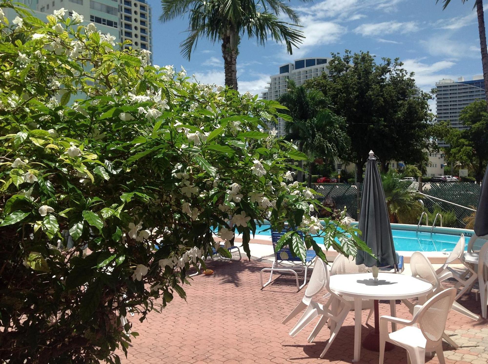Birch Patio Fort Lauderdale