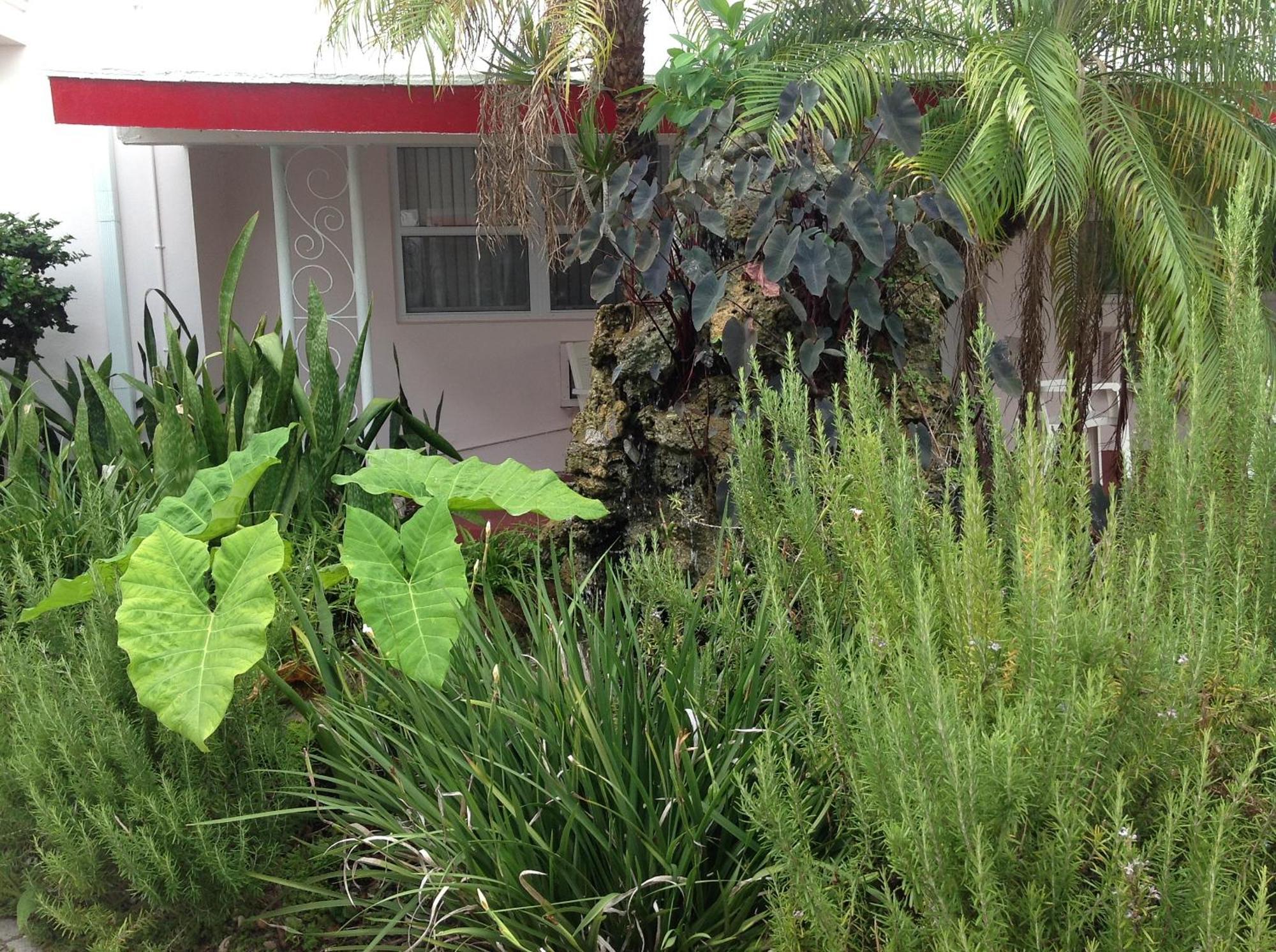 Birch Patio Fort Lauderdale