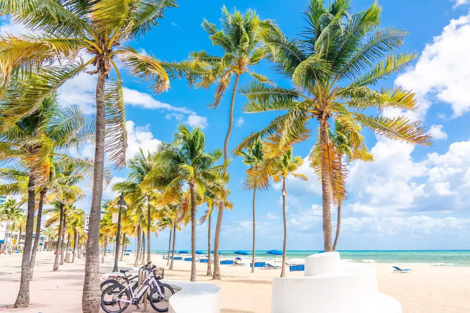 Uhost Ai - Elegant 1b Haven In Lauderdale Apartment Fort Lauderdale