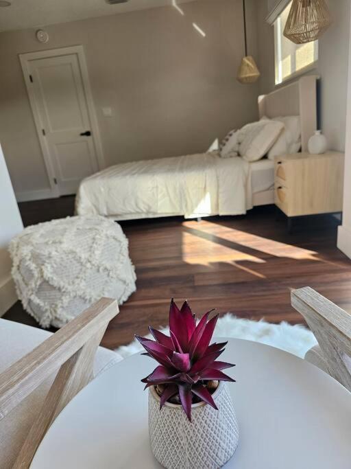 Newly-renovated, Designer Close To The Apartment *