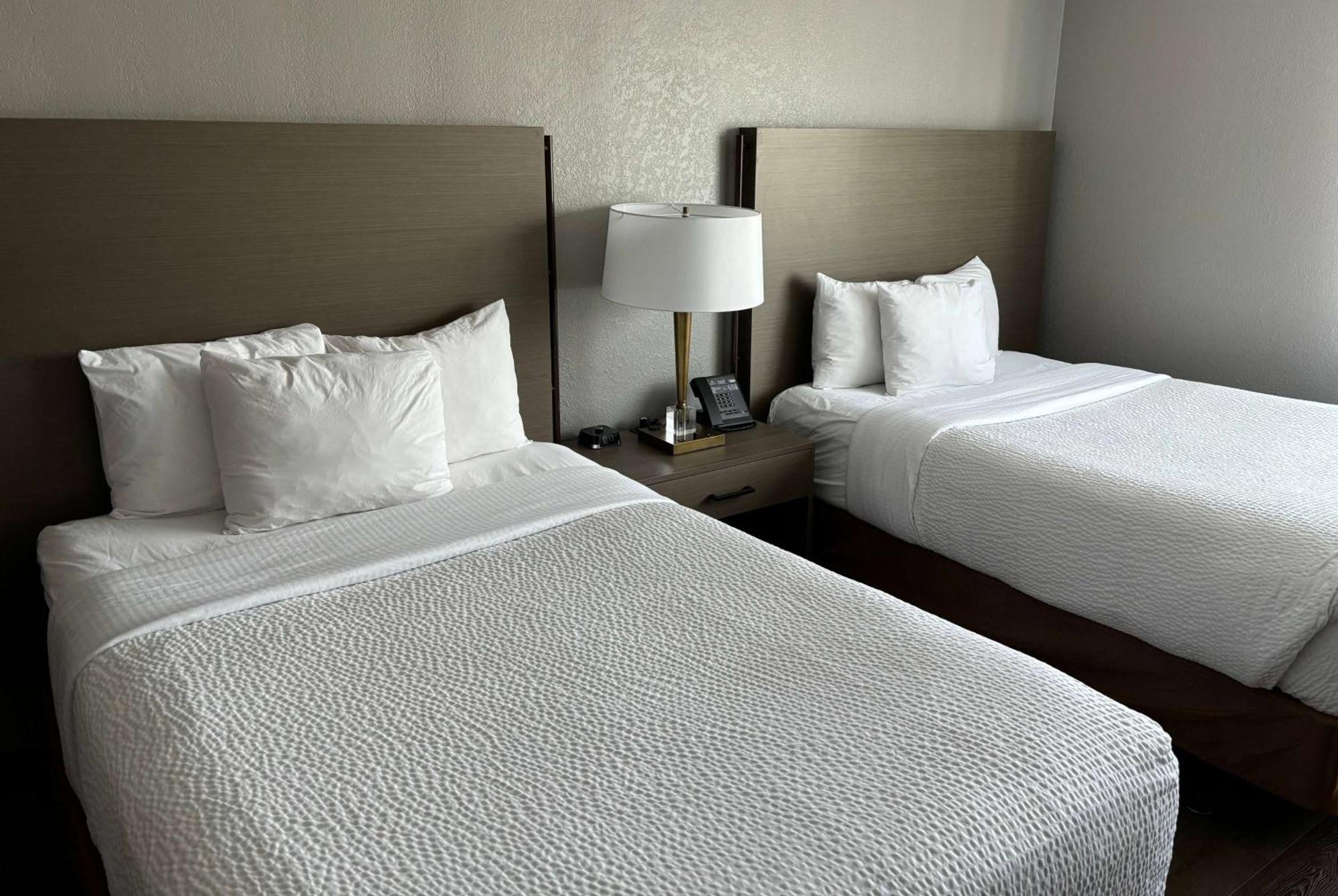 Hotel La Quinta By Wyndham Ft Lauderdale Cypress Creek Fort Lauderdale