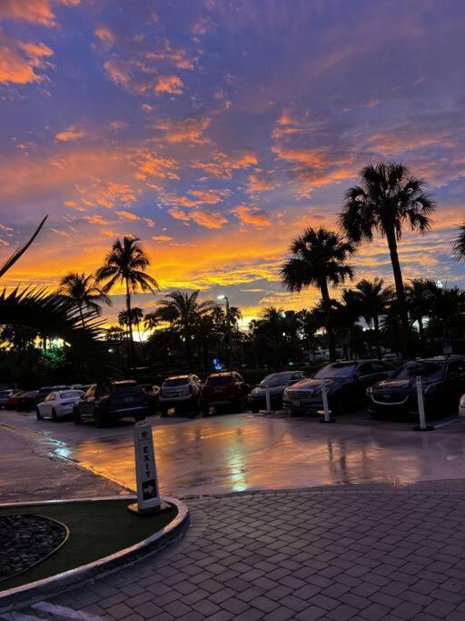Relaxing Escape Oceanfront Pool Gem On The Fort Lauderdale