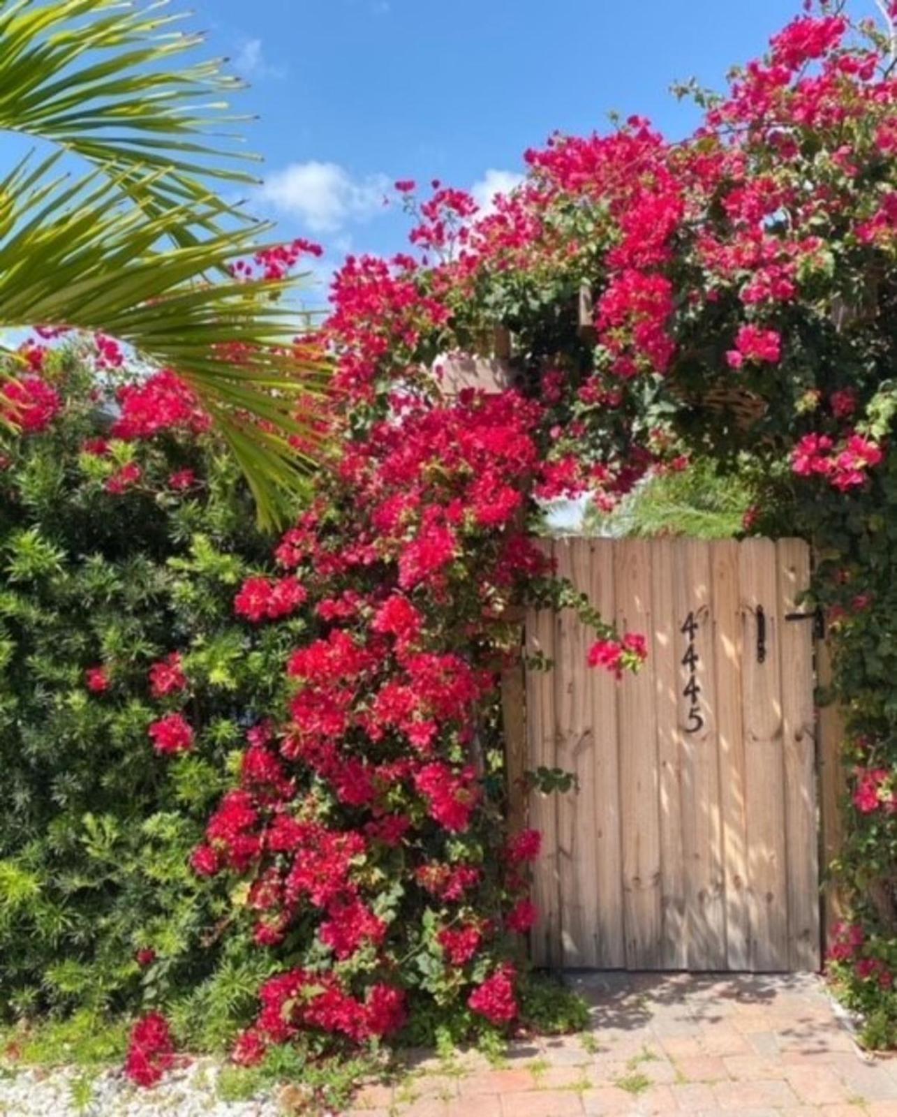 Apartment 2 Min Walk To The Beach-all Renovated #4 *