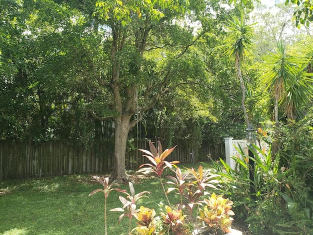 Apts With Backyard Near Lauderdale Beach, Nightlife, Cruise Port, Airport Apartment *