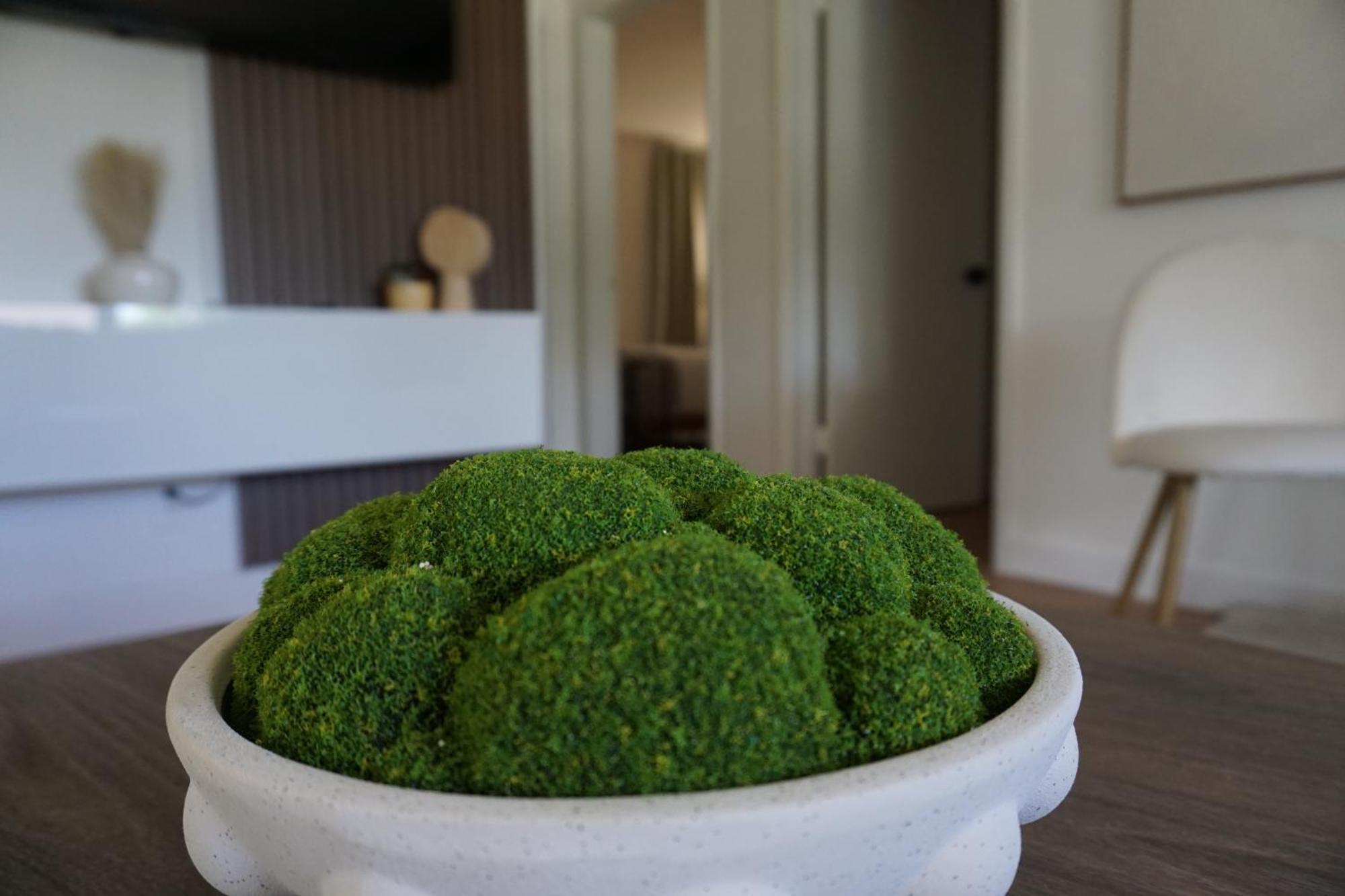 Modern Oasis, King Bed Pet Friendly 10m To Holiday home Fort Lauderdale