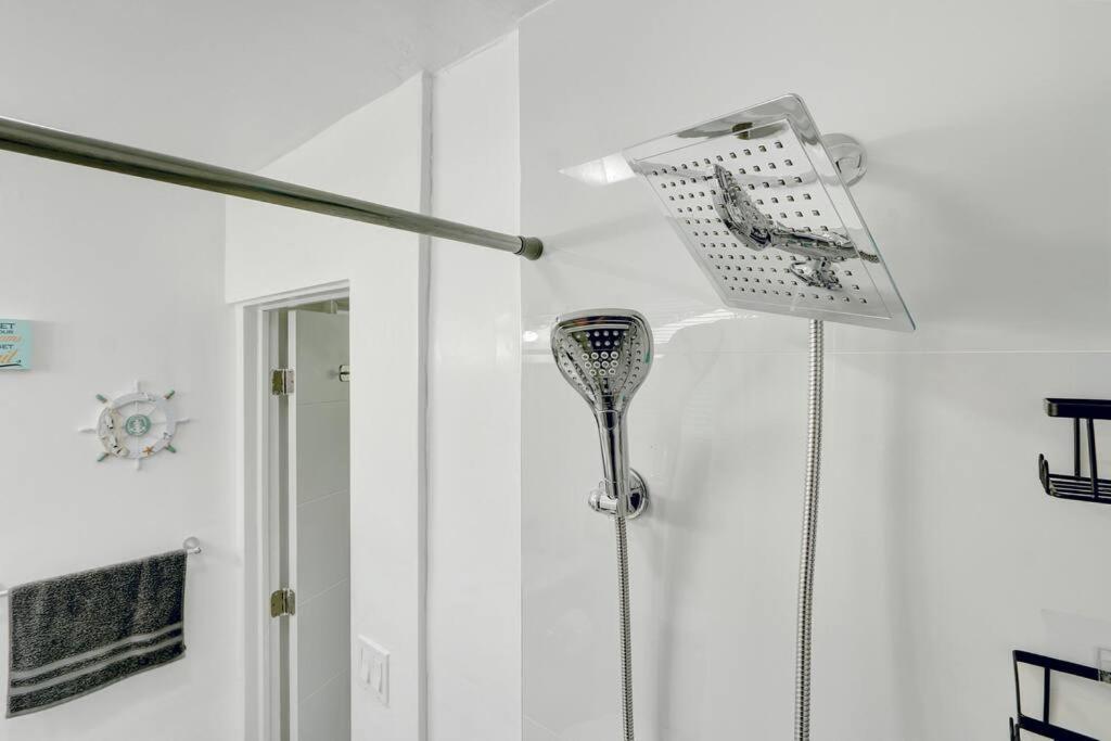 Charming 1br Hideaway In Lauderdale Apartment