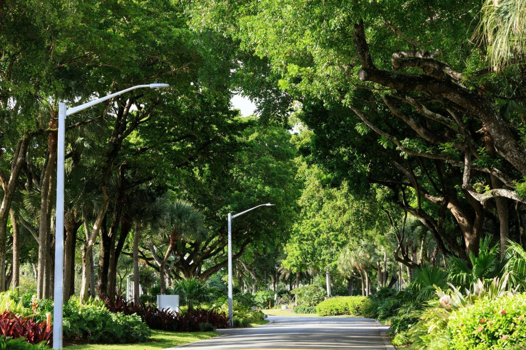 The Westin Lauderdale 4* Fort Lauderdale