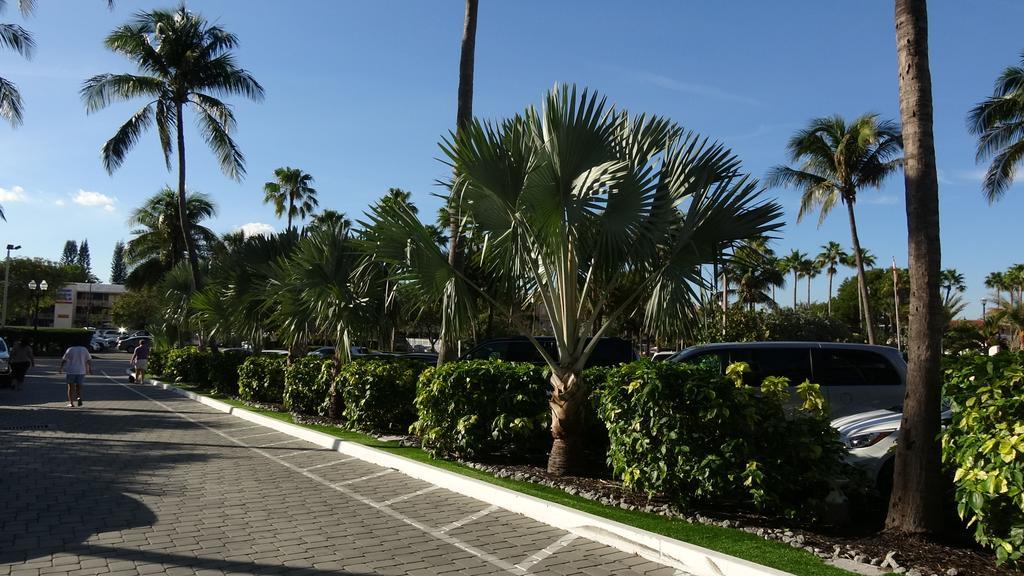 New Studio On The Ocean * Fort Lauderdale
