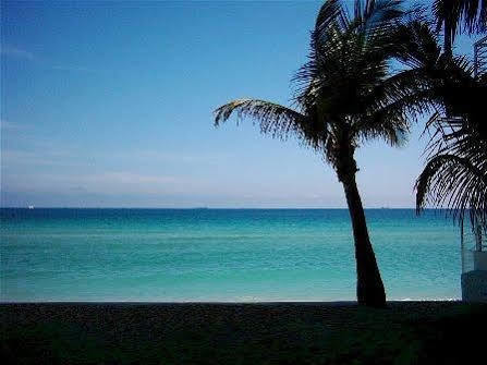 The Waves & Hotel 3*