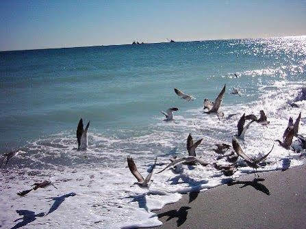 The Waves & Hotel