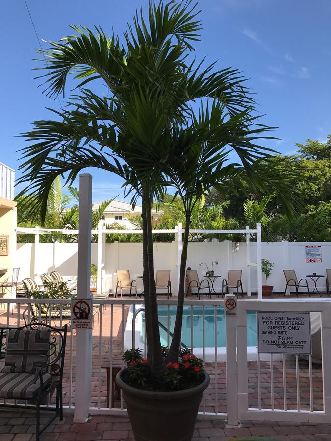 Hotel The Big Coconut - Gay Men's