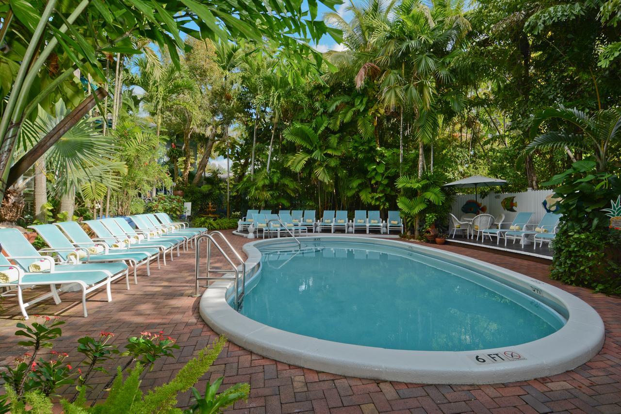 Pineapple Point & - Gay Men's 3* Fort Lauderdale