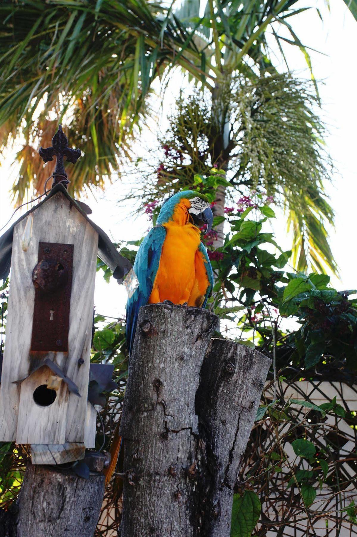 Galt Motel Fort Lauderdale