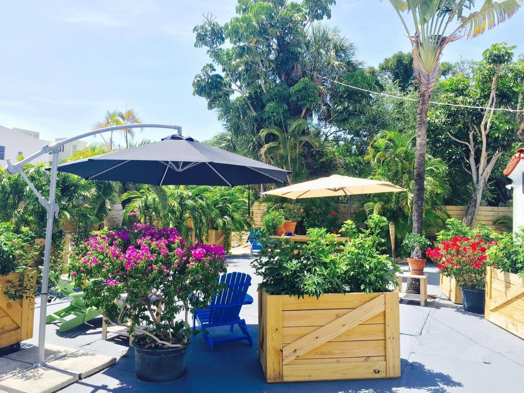 Oasis
