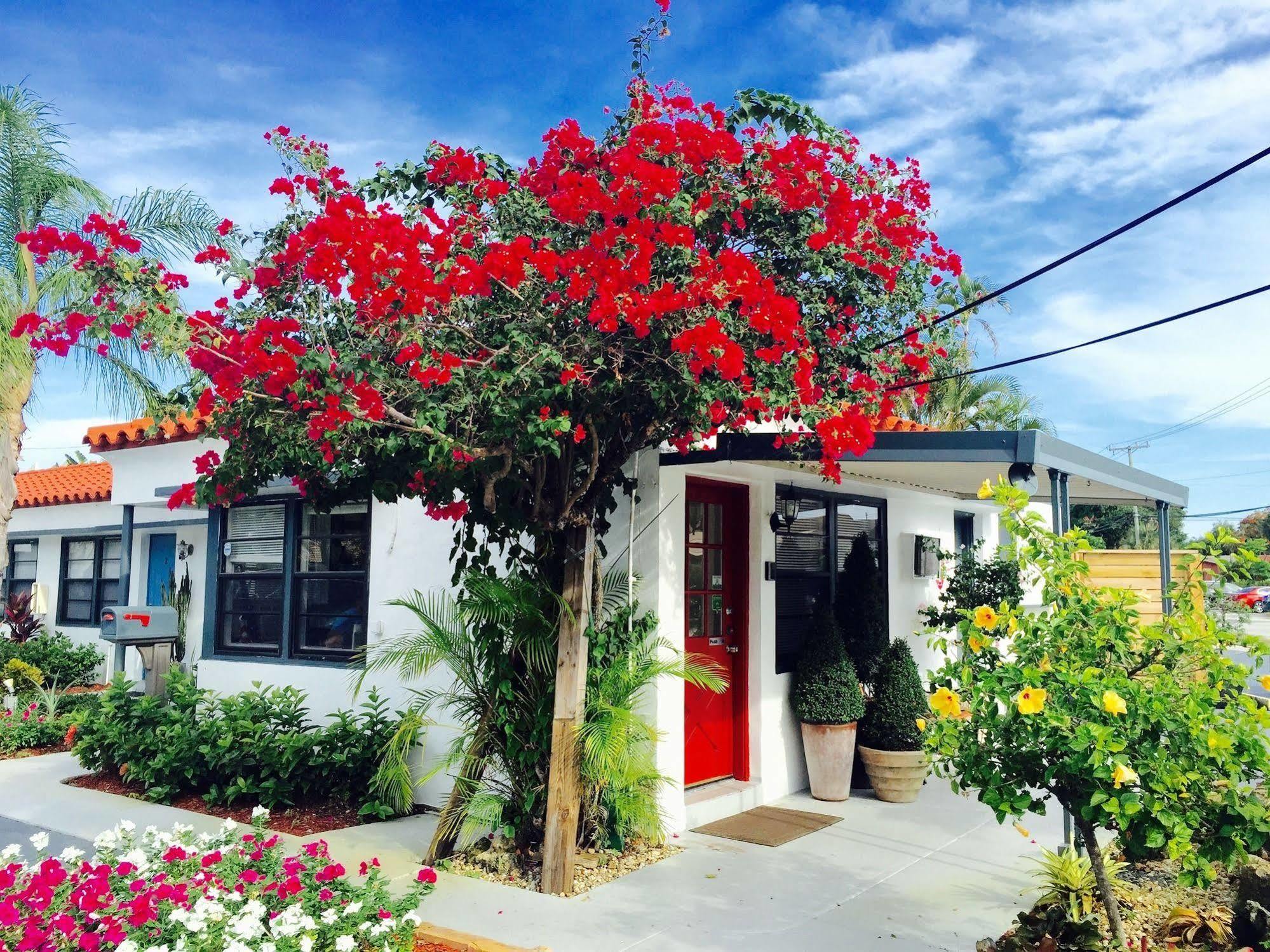Oasis Motel Fort Lauderdale