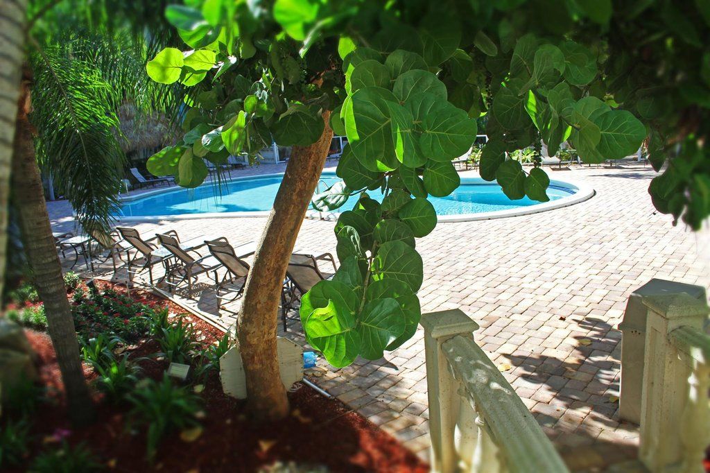 Universal Palms & Conference Center 3*