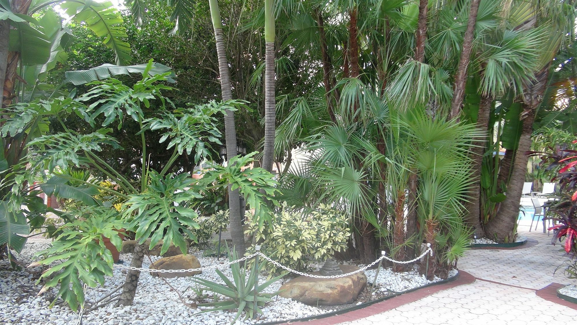 Tropi Rock Hotel 2*