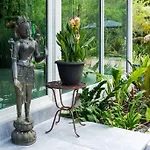 Studio In Paradise