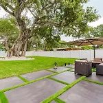 Boho Elegance In The Fll City!